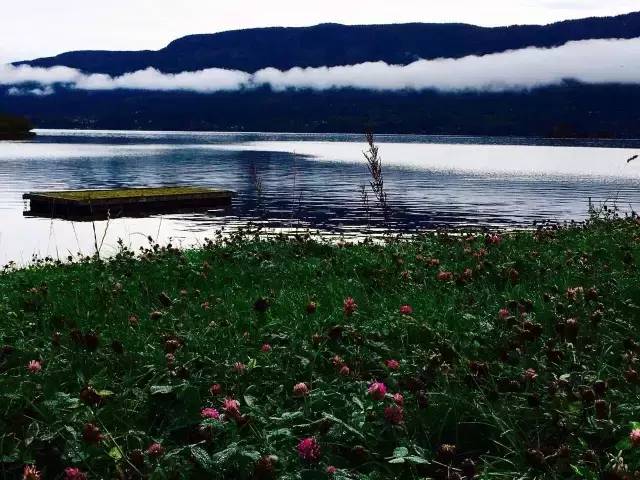 33.webp.jpg 红桃视频