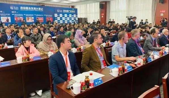 微信图片_20191108141209.jpg 红桃视频