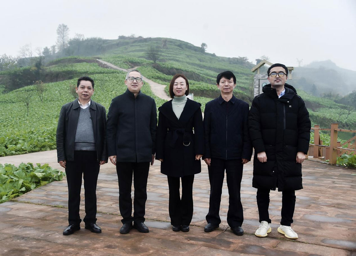 图片2.png 红桃视频