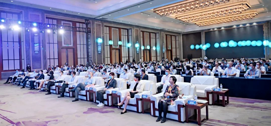 会场主图.png 红桃视频