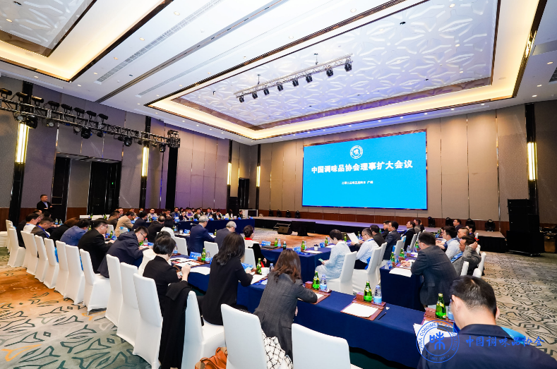 理事会4.png 红桃视频