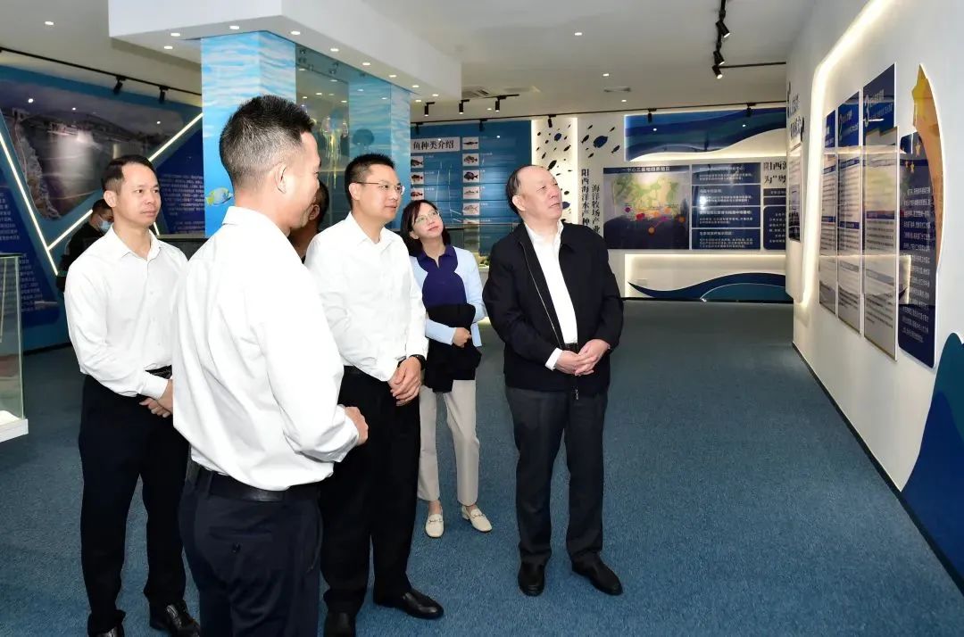 会长2.jpg 红桃视频