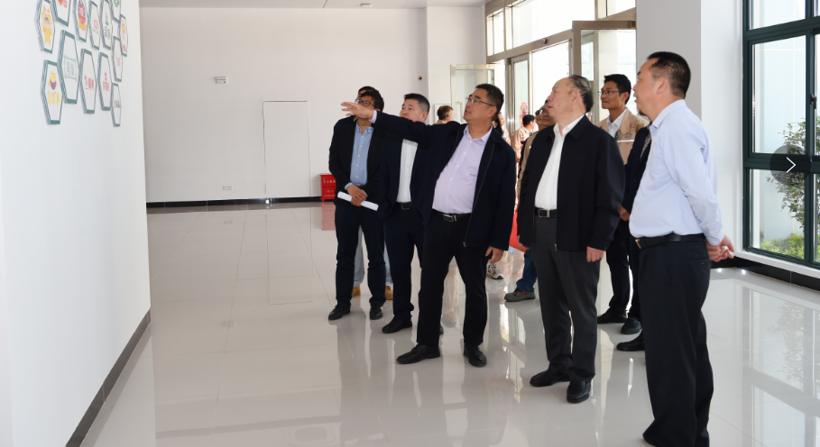 会长3.png 红桃视频