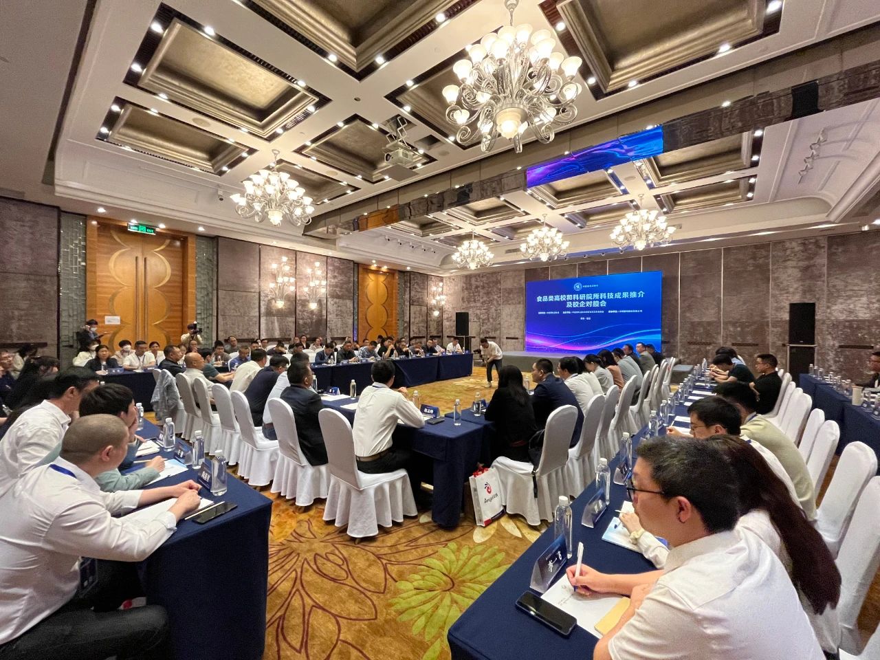 小七对接.jpg 红桃视频