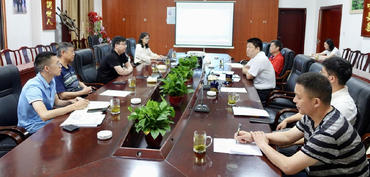 公司4.png 红桃视频