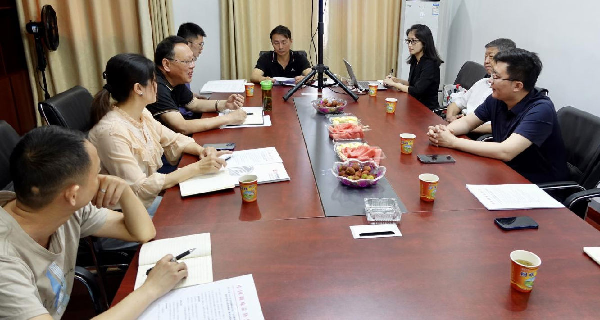 公司6.png 红桃视频